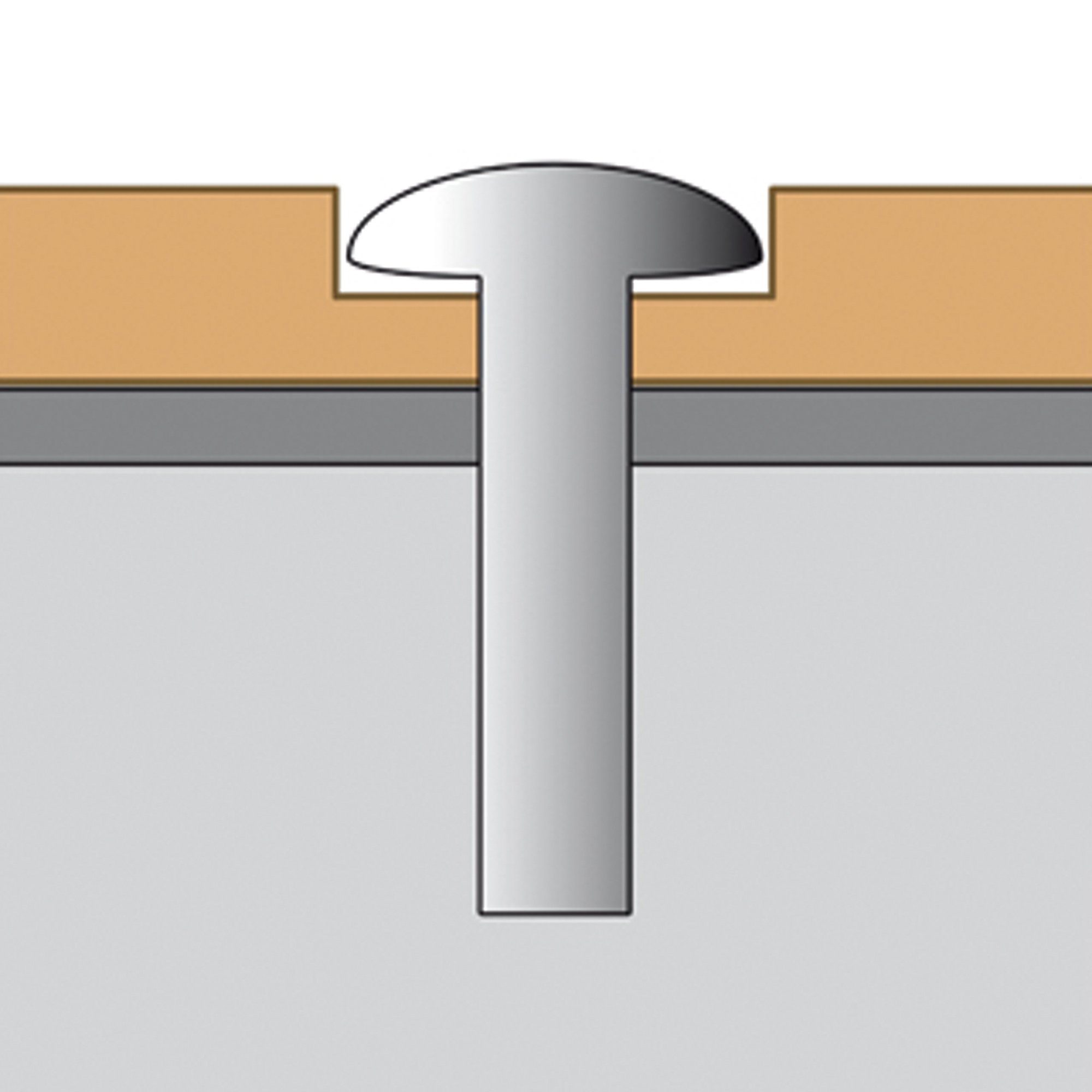 Schrauben für INDOOR Spiegel – 6,5×45 mm / 1 Stk.