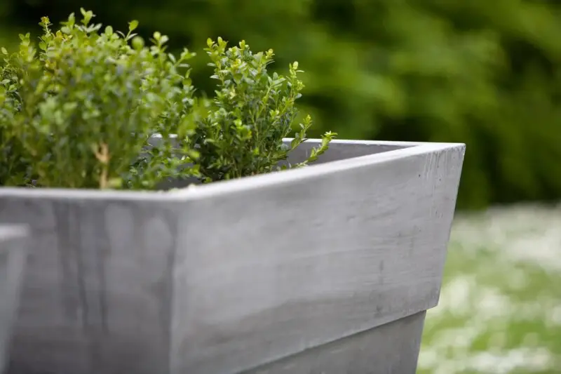 Alternative view of Concrete Planter - Österlen
