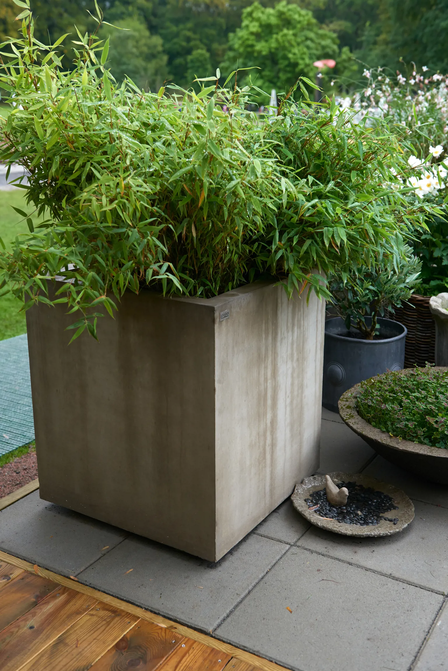 Concrete Planter - Bergen - Image 13
