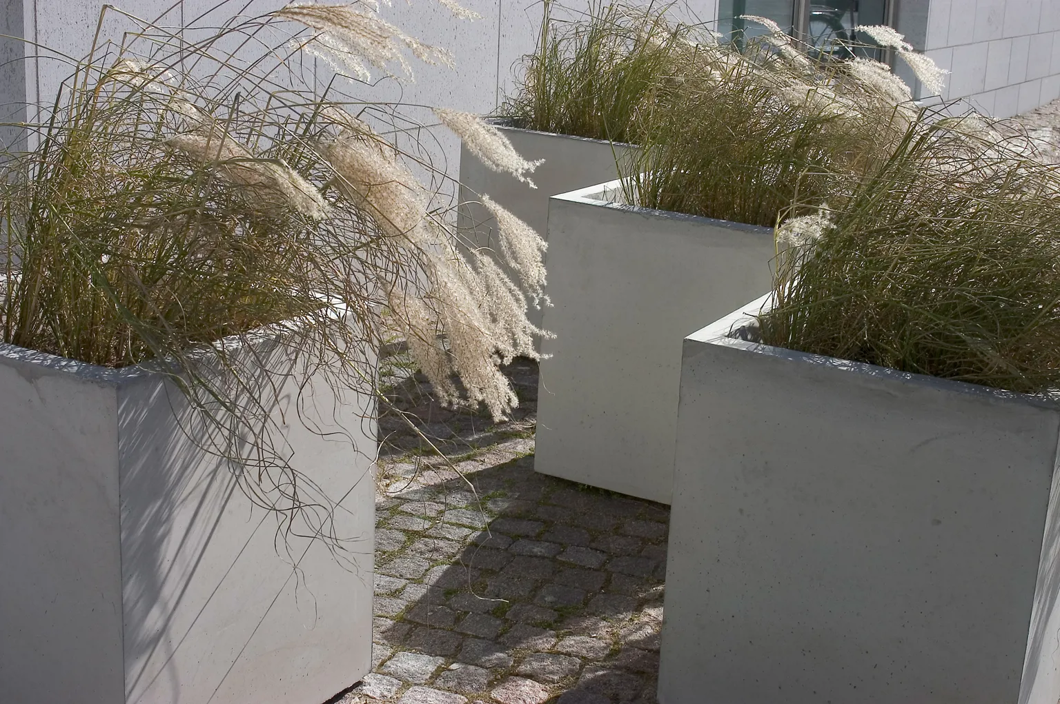 Concrete Planter - Bergen - Image 9