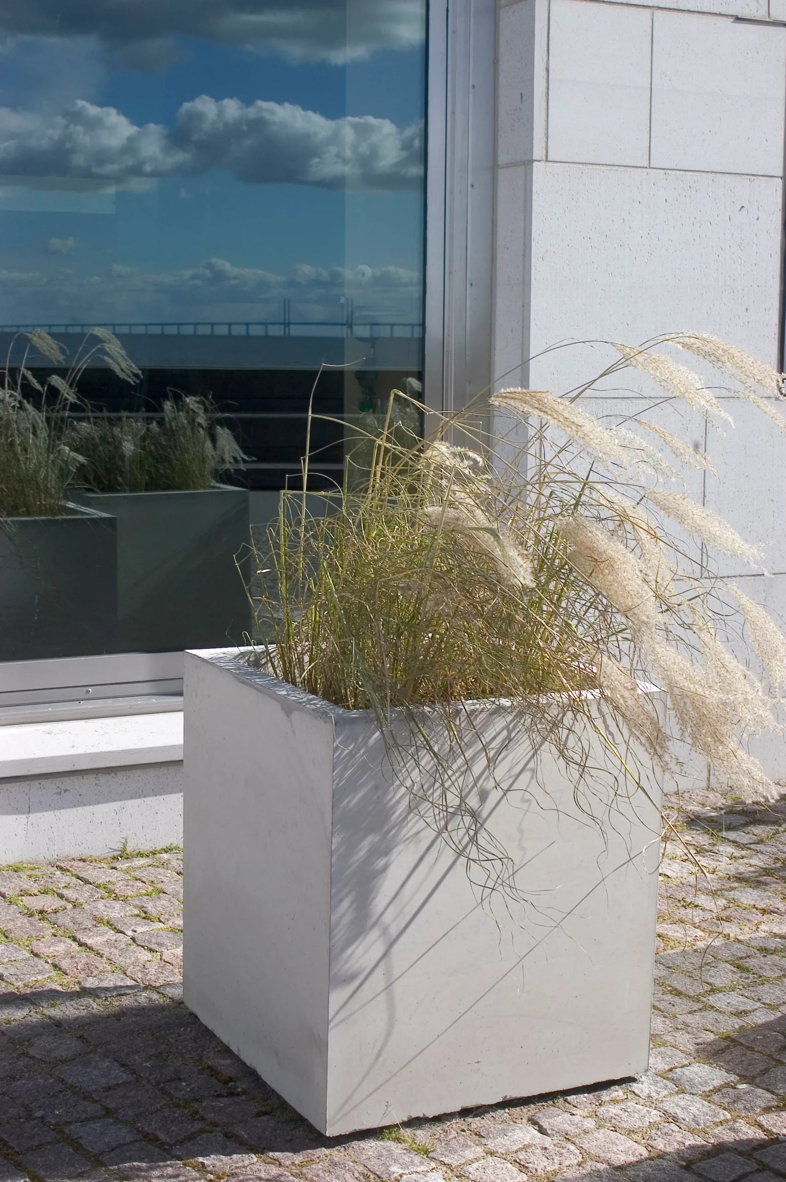 Concrete Planter - Bergen - Image 8