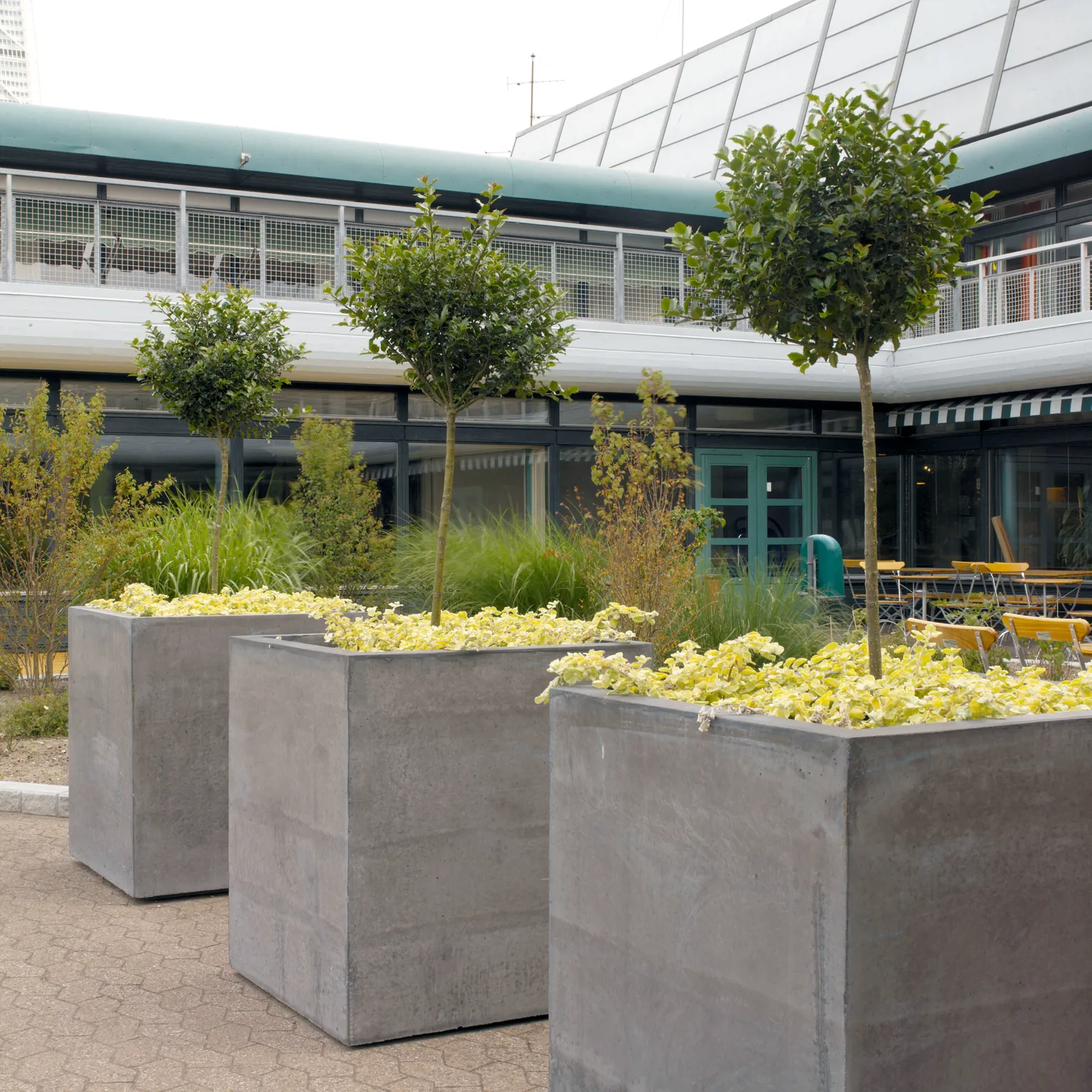 Concrete Planter - Bergen - Image 5