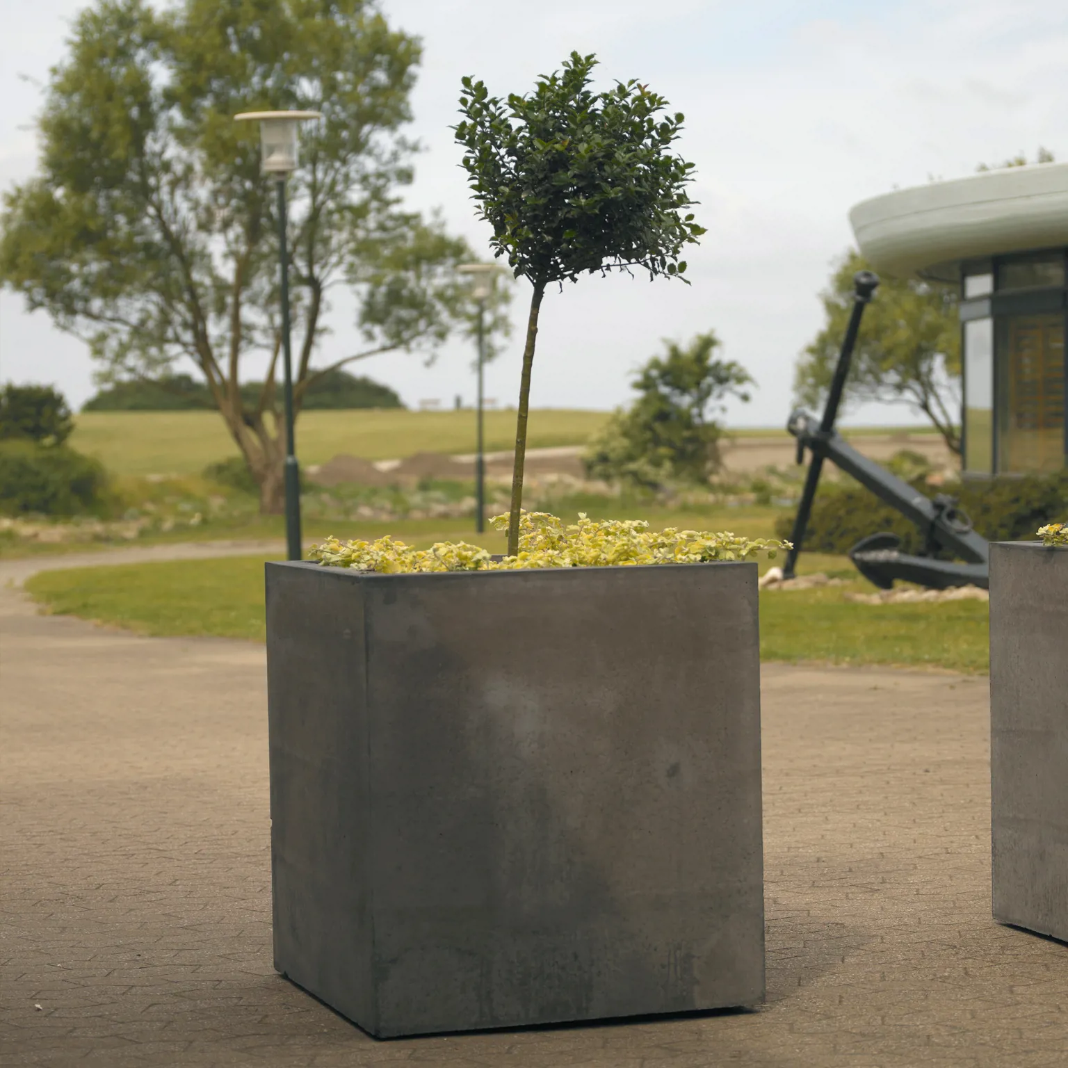 Concrete Planter - Bergen - Image 4