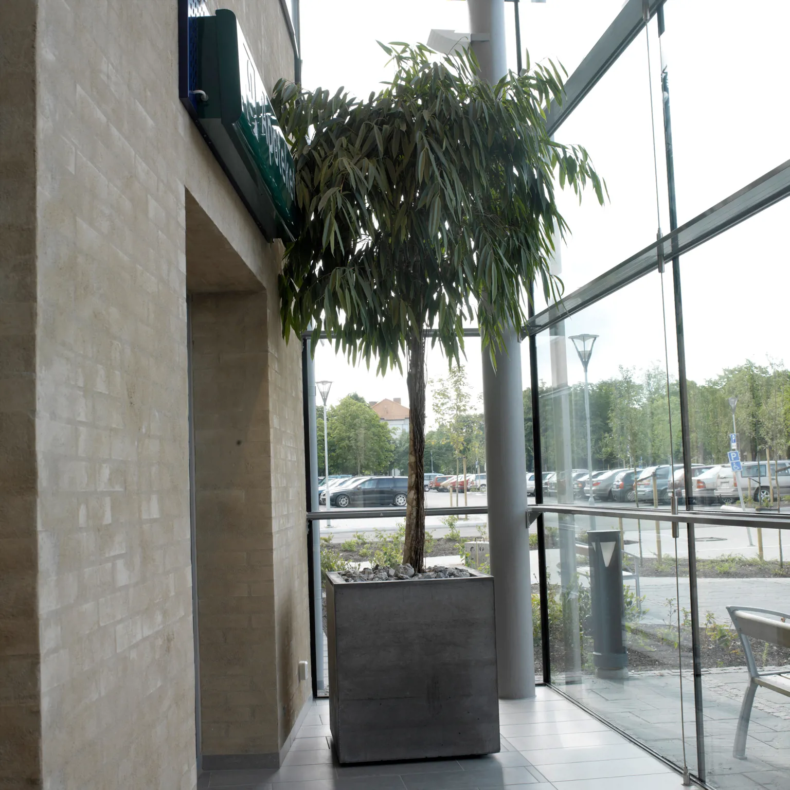 Concrete Planter - Bergen - Image 3
